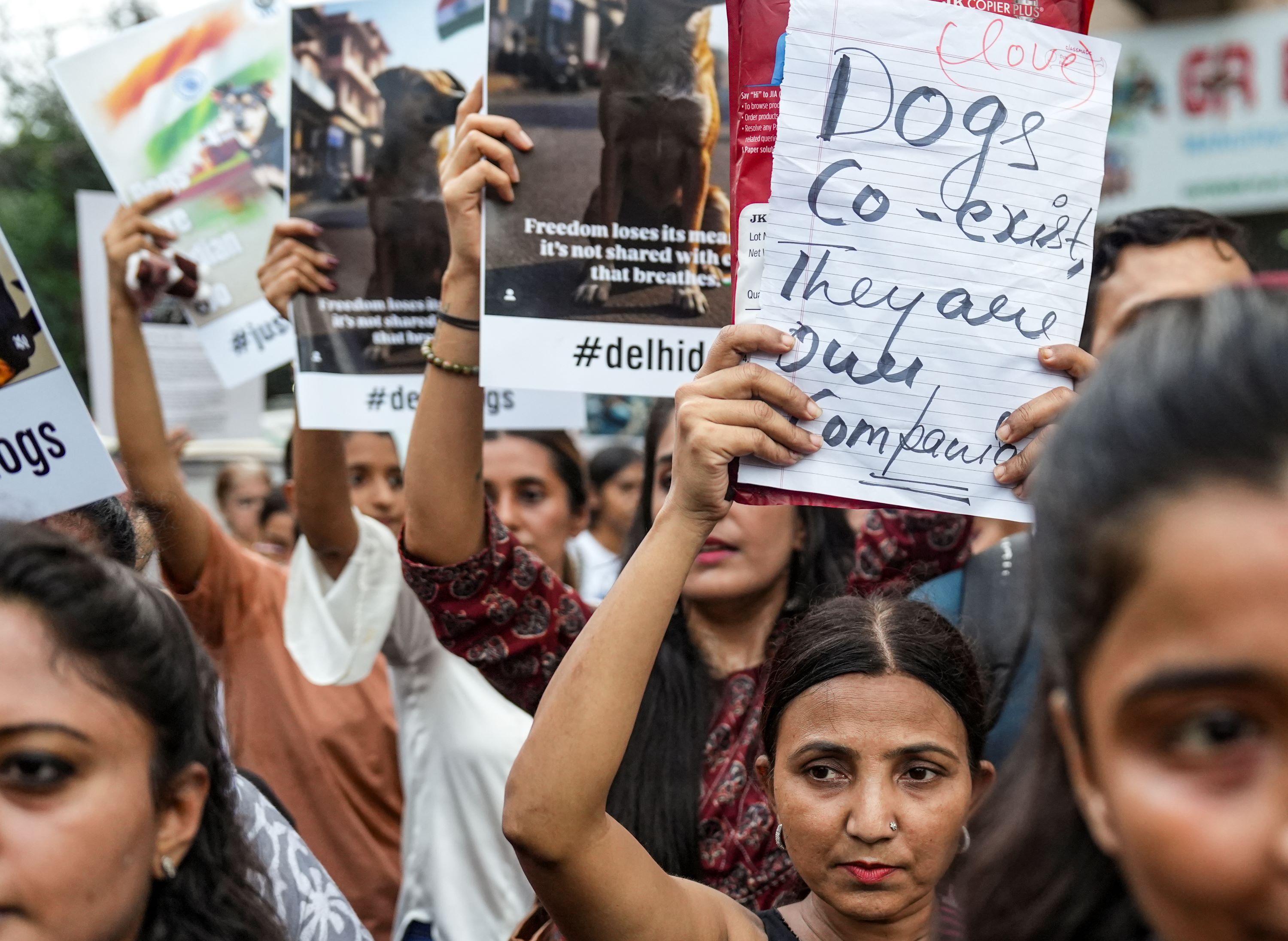 मुंबई: सुप्रीम कोर्ट के आवारा कुत्तों से जुड़े आदेश के खिलाफ आजाद मैदान में किया गया विरोध प्रदर्शन