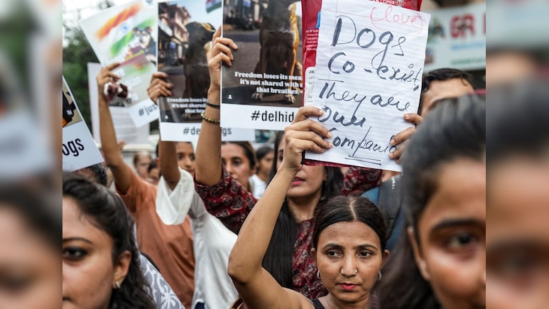 मुंबई: सुप्रीम कोर्ट के आवारा कुत्तों से जुड़े आदेश के खिलाफ आजाद मैदान में किया गया विरोध प्रदर्शन
