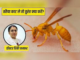 पीली ततैया काट ले तो क्या करें? डॉक्टर ने बताया सूजन को तुरंत कम करने का तरीका, नहीं चढ़ेगा जहर पीली ततैया काट ले तो क्या करें? डॉक्टर ने बताया सूजन को तुरंत कम करने का तरीका, नहीं चढ़ेगा जहर