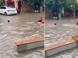 गुड़गांव में बारिश के बाद खतरनाक जलभराव, तैरते हुए दिखे बच्चे, यूजर्स बोले- कैसे बिक रहे करोड़ों में फ्लैट गुड़गांव में बारिश के बाद खतरनाक जलभराव, तैरते हुए दिखे बच्चे, यूजर्स बोले- कैसे बिक रहे करोड़ों में फ्लैट