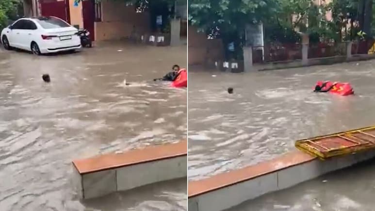 गुड़गांव में बारिश के बाद खतरनाक जलभराव, तैरते हुए दिखे बच्चे, यूजर्स बोले- कैसे बिक रहे करोड़ों में फ्लैट गुड़गांव में बारिश के बाद खतरनाक जलभराव, तैरते हुए दिखे बच्चे, यूजर्स बोले- कैसे बिक रहे करोड़ों में फ्लैट