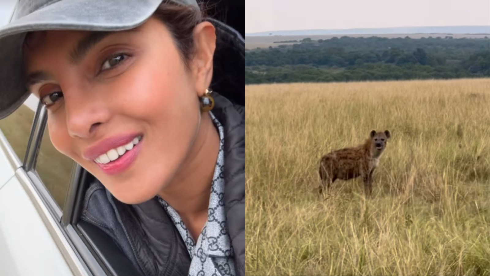 Priyanka Chopra Goes Globetrotting On Safari In Kenya Before SS Rajamouli's <i>Globetrotter</i> Shoot