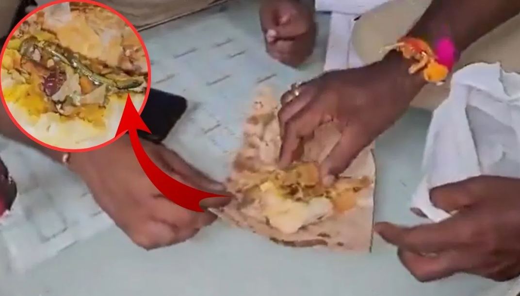 खाने में मिला मरा हुआ सांप, देख महिला की निकल गई चीखें, VIDEO देख सहमे लोग