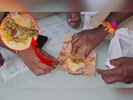 खाने में मिला मरा हुआ सांप, देख महिला की निकल गई चीखें, VIDEO देख सहमे लोग