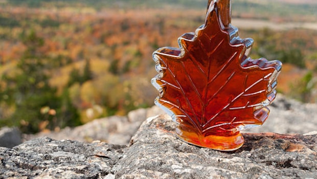 How Maple Syrup Thieves In Canada Once Made History With A Theft Worth Millions Of Dollars