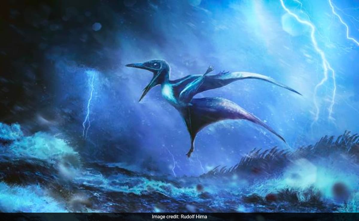 Pterosaur Fossil Analysis Reveals Storm-Related Deaths, Ancient Life