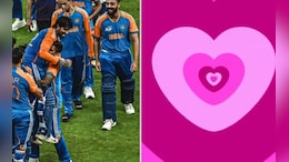 आशिया कप विजयानंतर एलॉन मस्कने X चे &lsquo;लाईक&rsquo; बटण बदलले?  व्हायरल मेसेजचे सत्य काय?