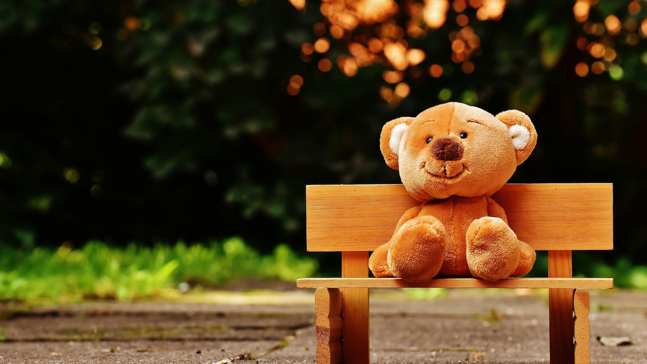 Which teddy bear under ₹1,000 can make National Teddy Bear Day 2025 special for you