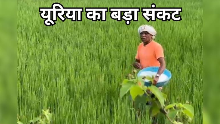 बिलासपुर में यूरिया का बड़ा संकट, खुलेआम कालाबाजारी से किसान परेशान