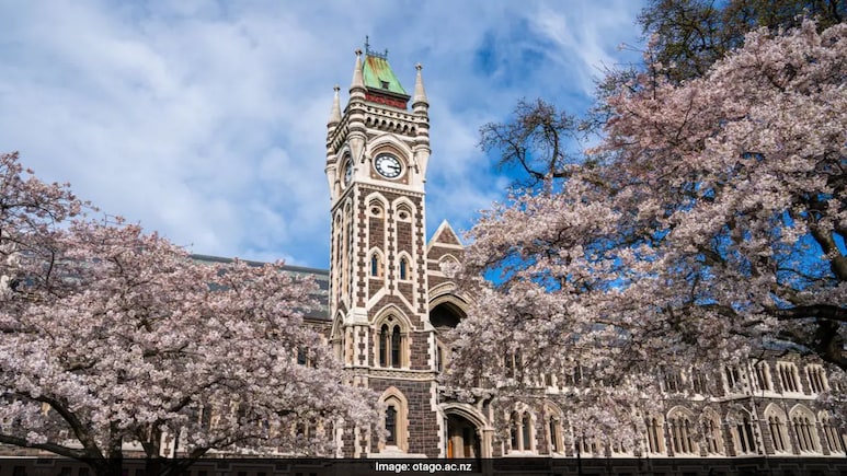 New Zealand University Launches Scholarships Worth Rs 23 Lakh For Indian Students New Zealand University Launches Scholarships Worth Rs 23 Lakh For Indian Students