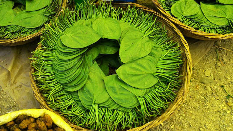 इस पत्ते को ऐसे करें इस्तेमाल, पेट की पुरानी गैस और एसिडिटी हो जाएगी मिनटों में गायब