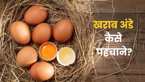 बच्चे को बासी अंडा तो नहीं खिला रही हैं? पड़ जाएगा बीमार, ऐसे करें ताजे अंडे की पहचान