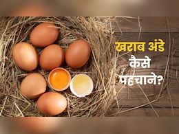 बच्चे को बासी अंडा तो नहीं खिला रही हैं? पड़ जाएगा बीमार, ऐसे करें ताजे अंडे की पहचान बच्चे को बासी अंडा तो नहीं खिला रही हैं? पड़ जाएगा बीमार, ऐसे करें ताजे अंडे की पहचान