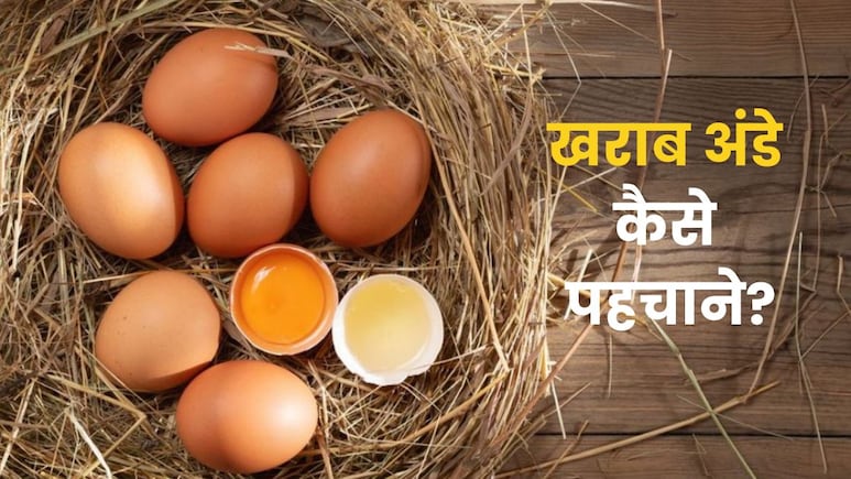 बच्चे को बासी अंडा तो नहीं खिला रही हैं? पड़ जाएगा बीमार, ऐसे करें ताजे अंडे की पहचान बच्चे को बासी अंडा तो नहीं खिला रही हैं? पड़ जाएगा बीमार, ऐसे करें ताजे अंडे की पहचान