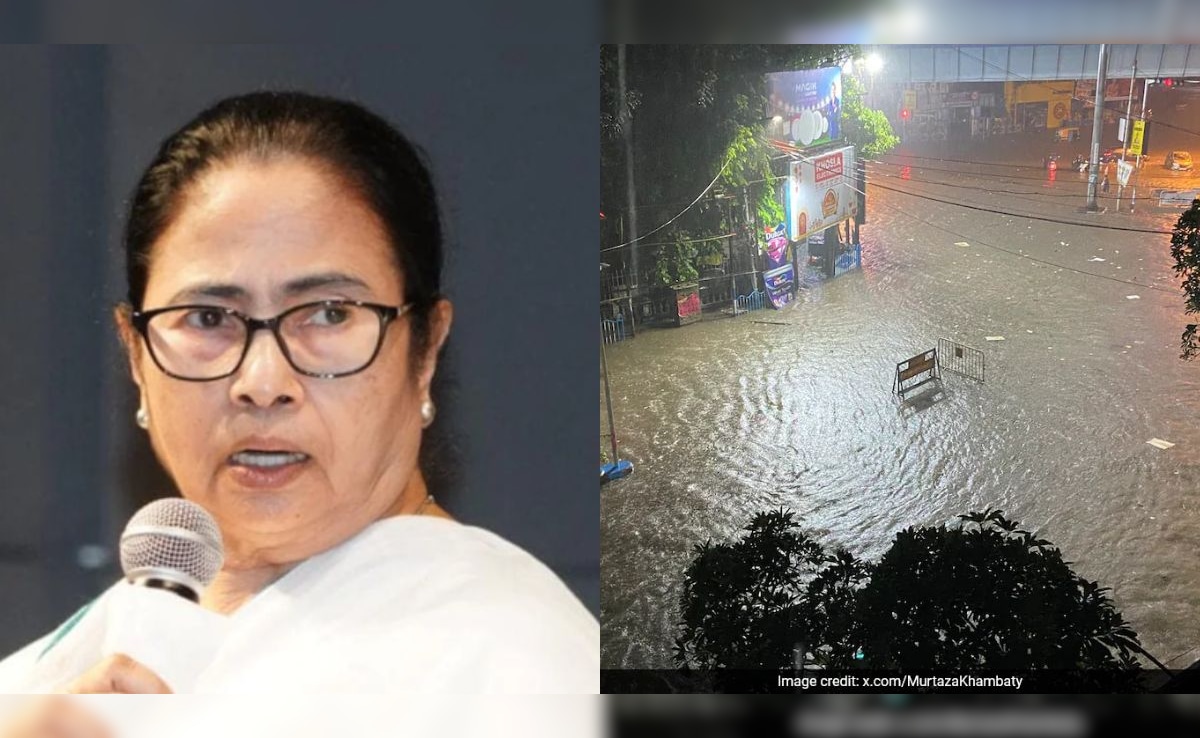 State vs Discom Blame Game Over Electrocution Deaths During Kolkata Deluge
