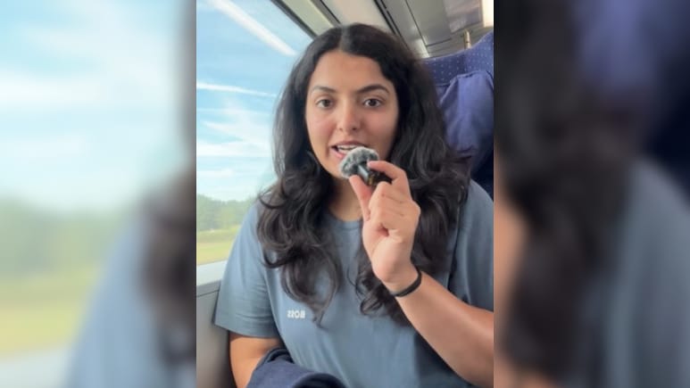 Indian Woman Claims She Was Fired By German Employer In 2 Days: "Imagine Moving Cities..."