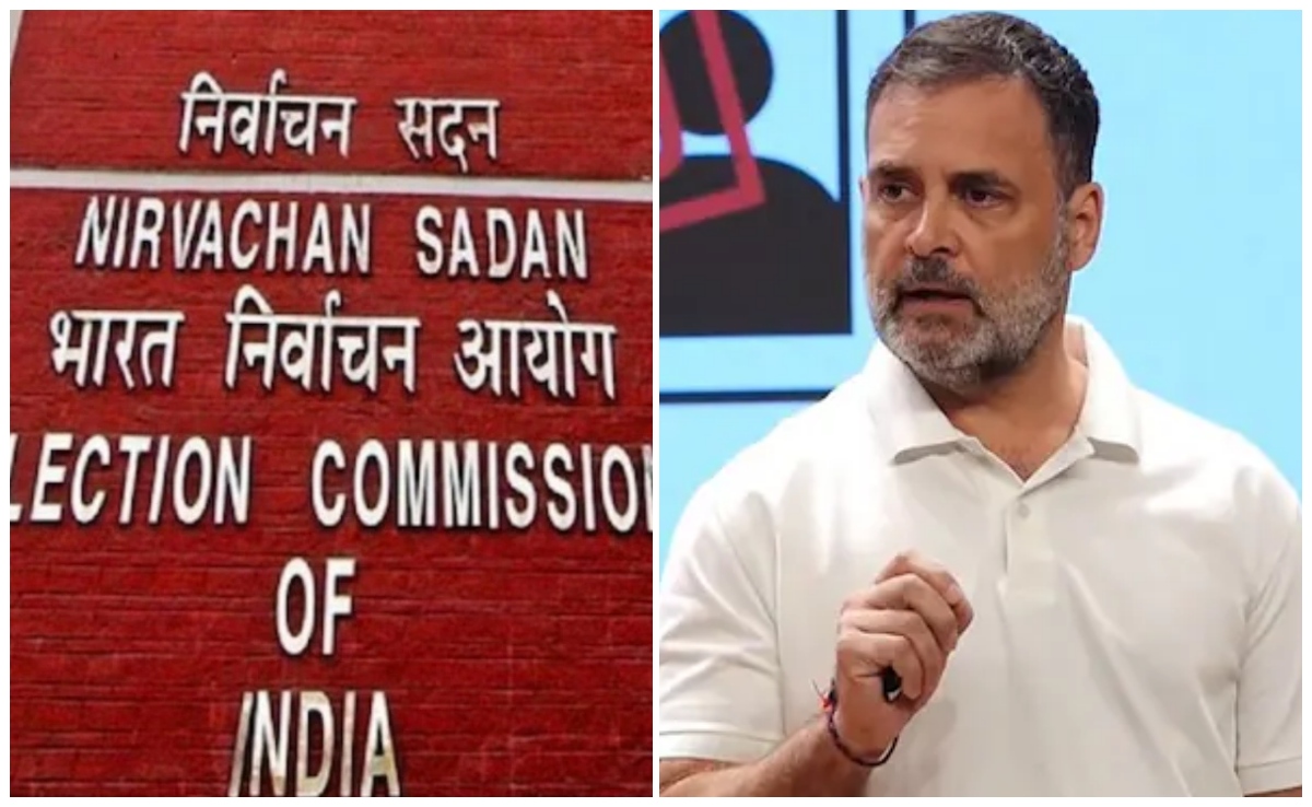 बिना अपील के किसी का वोट डिलीट नहीं होता, राहुल गांधी के आरोप पर चुनाव आयोग का जवाब