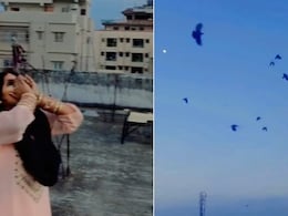 कौवों की दीदी! कौवे की आवाज़ निकालने में माहिर है ये महिला, चंद मिनट में छत पर बुला लिया कौवों का झुंड कौवों की दीदी! कौवे की आवाज़ निकालने में माहिर है ये महिला, चंद मिनट में छत पर बुला लिया कौवों का झुंड