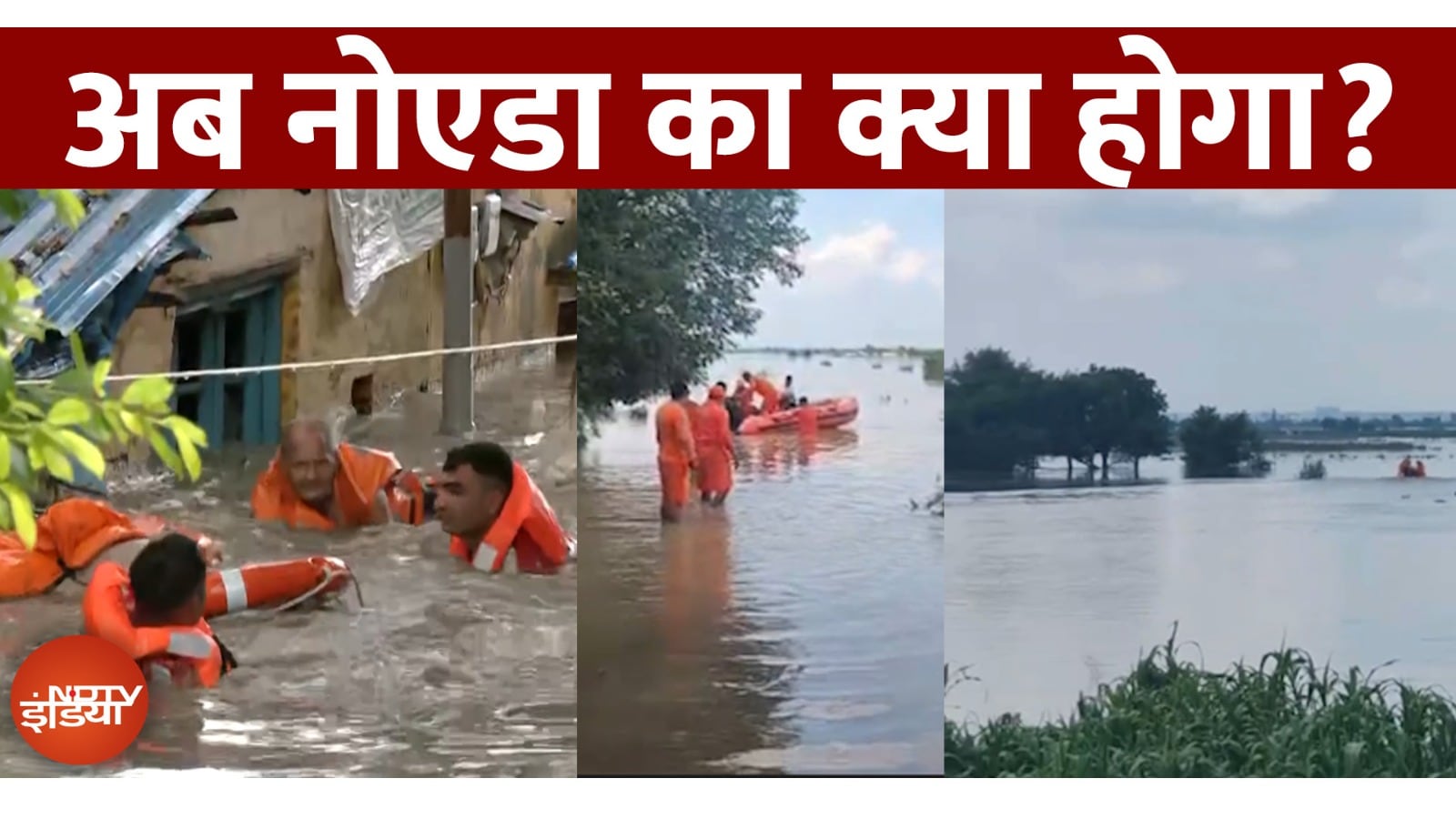 Video: Noida Yamuna Flood 2025: दिल्ली के बाद यमुना ने ग्रेटर नोएडा में मचाई तबाही! | Top News | Breaking