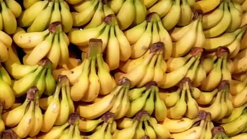 केला: प्रकृति का अनमोल उपहार, जानें इसके गजब के फायदे 