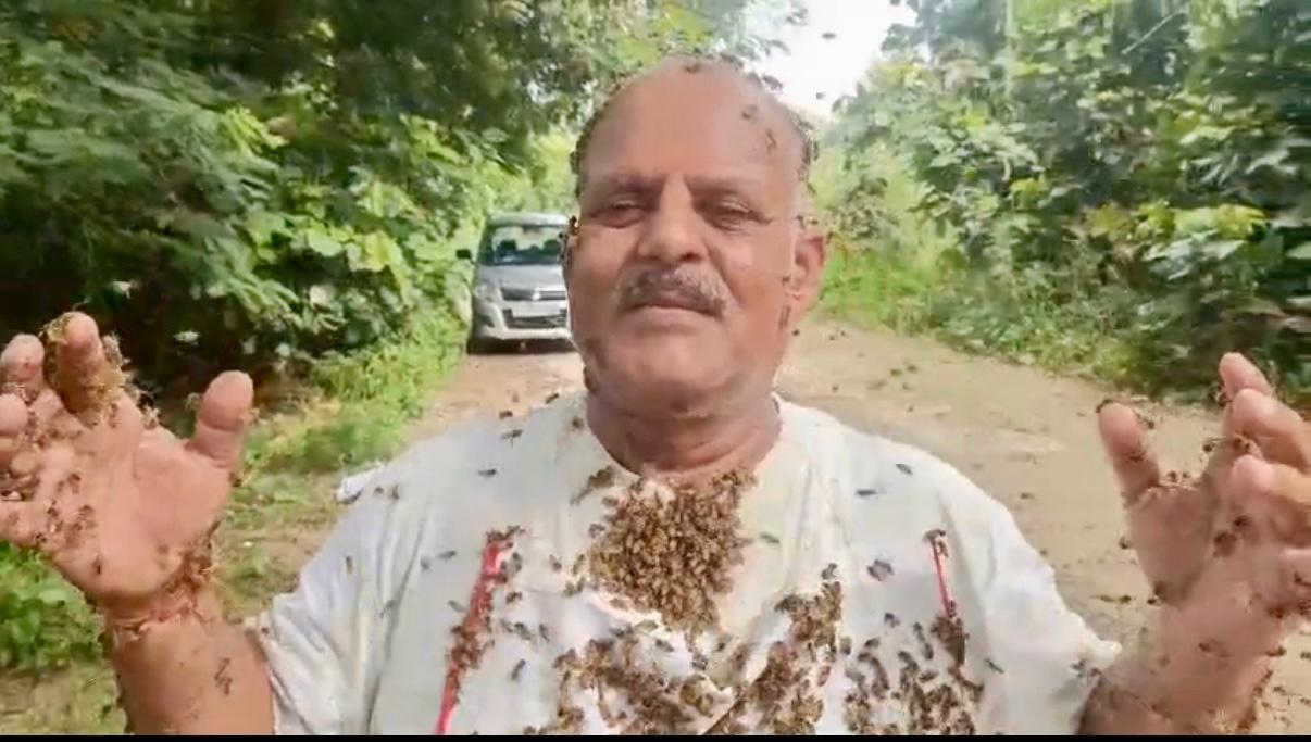 बुलंदशहर: शख्स पर चिपकी लांखों मधुमक्खियां पर नहीं मारा डंक... वजह जान आप भी रह जाएंगे हैरान