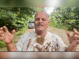 बुलंदशहर: शख्स पर चिपकी लाखों मधुमक्खियां पर नहीं मारा डंक... वजह जान आप भी रह जाएंगे हैरान बुलंदशहर: शख्स पर चिपकी लाखों मधुमक्खियां पर नहीं मारा डंक... वजह जान आप भी रह जाएंगे हैरान