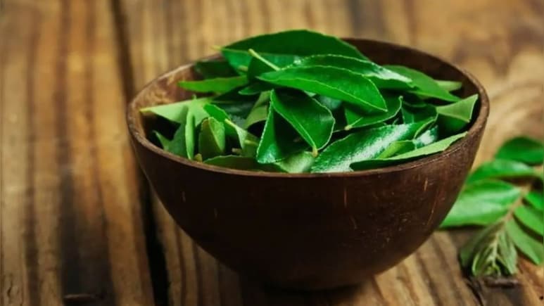 सुबह खाली पेट चबा-चबाकर खा लें करी पत्ता, वेट लॉस से लेकर बालों तक मिलेगी मदद