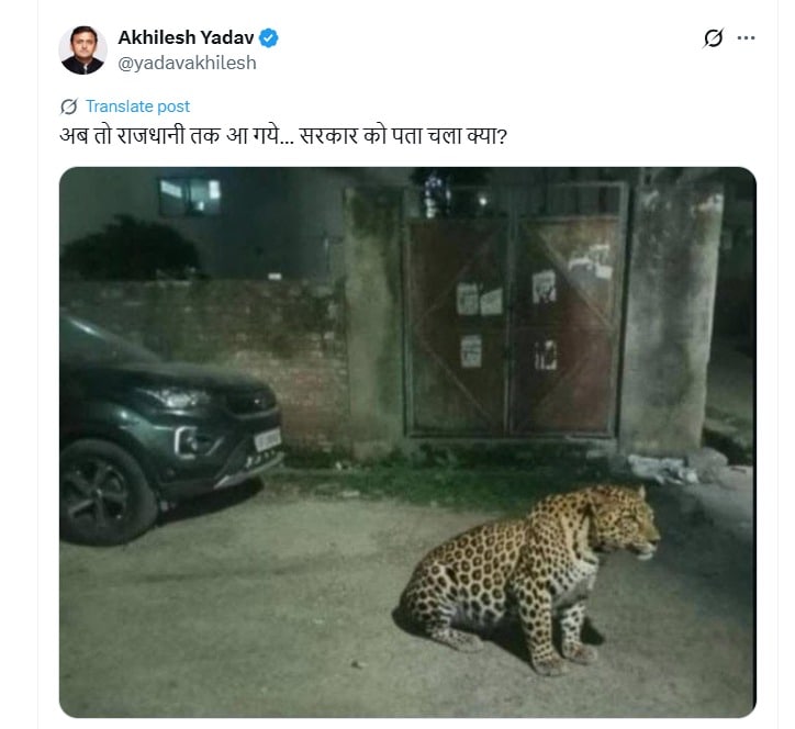 Latest and Breaking News on NDTV Latest and Breaking News on NDTV