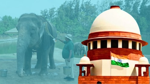 Madhuri Elephant Vantara: सुप्रीम कोर्टाचा वनताराला दिलासा, 'माधुरी हत्तीण' प्रकरणी क्लीन चिट