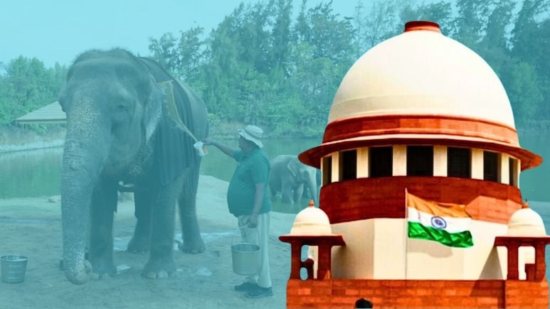 Madhuri Elephant Vantara: सुप्रीम कोर्टाचा वनताराला दिलासा, 'माधुरी हत्तीण' प्रकरणी क्लीन चिट