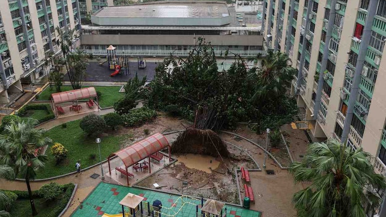 Typhoon Ragasa Kills 27, Displaces Millions Across Asia Typhoon Ragasa Kills 27, Displaces Millions Across Asia