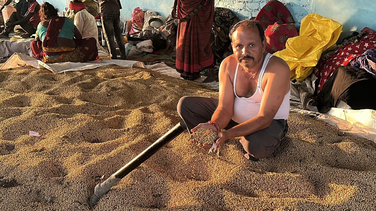 Crops Hit, Madhya Pradesh's Soybean Farmers Face Uncertain Future