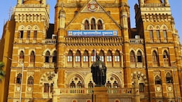 BMC Diwali Bonus: पालिका कर्मचाऱ्यांची दिवाळी 'सुपर गोड'! प्रशासनाकडून मोठा बोनस जाहीर, वाचा सर्व तपशील