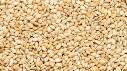 Nutritionist Nmami Agarwal Reveals Why Sesame Seeds "Deserve A Spot In Your Diet"