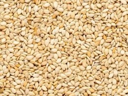 Nutritionist Nmami Agarwal Reveals Why Sesame Seeds "Deserve A Spot In Your Diet"
