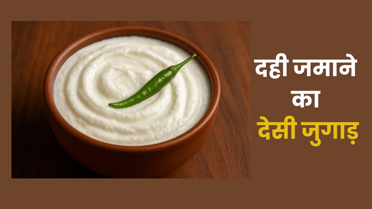 बिना जामन के घर पर जमाएं हलवाई जैसी मोटी और गाढ़ी दही, अपनाइए हरी मिर्च वाला देसी जुगाड़