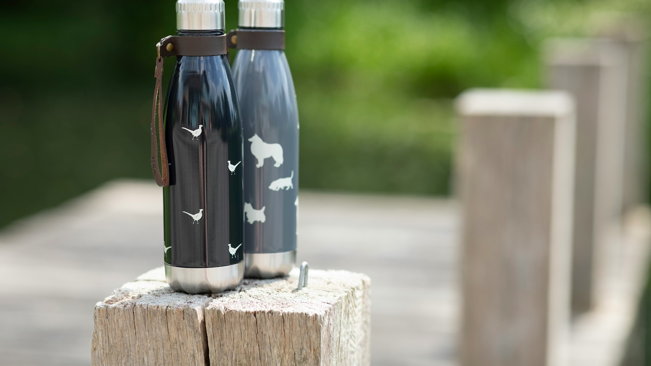 Get yourself a new collection of vacuum bottles for your gym and office