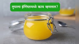 Ghee English Name: तुपाला इंग्लिश भाषेमध्ये काय म्हणतात? 99 टक्के लोकांना नाही माहीत