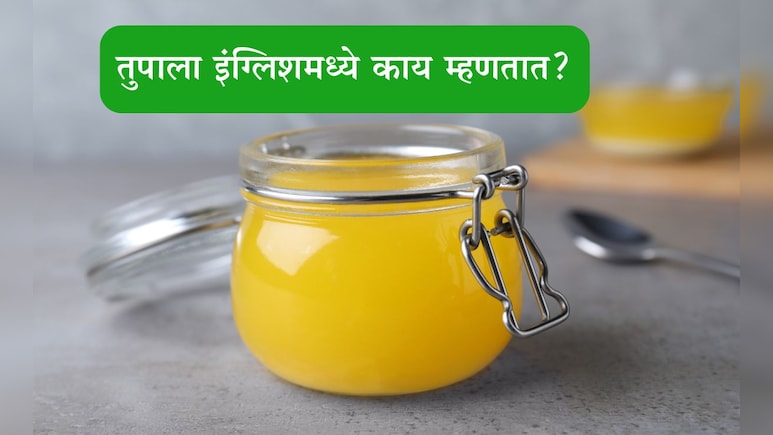 Ghee English Name: तुपाला इंग्लिश भाषेमध्ये काय म्हणतात? 99 टक्के लोकांना नाही माहीत