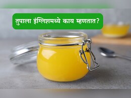 Ghee English Name: तुपाला इंग्लिश भाषेमध्ये काय म्हणतात? 99 टक्के लोकांना नाही माहीत Ghee English Name: तुपाला इंग्लिश भाषेमध्ये काय म्हणतात? 99 टक्के लोकांना नाही माहीत