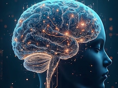 Want To Protect Your Brain? Avoids These Daily Habits