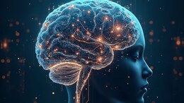 Brain's Prefrontal Cortex Linked To Hypocrisy, Study Suggests