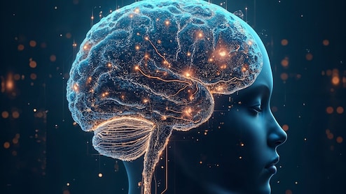 Want To Protect Your Brain? Avoids These Daily Habits