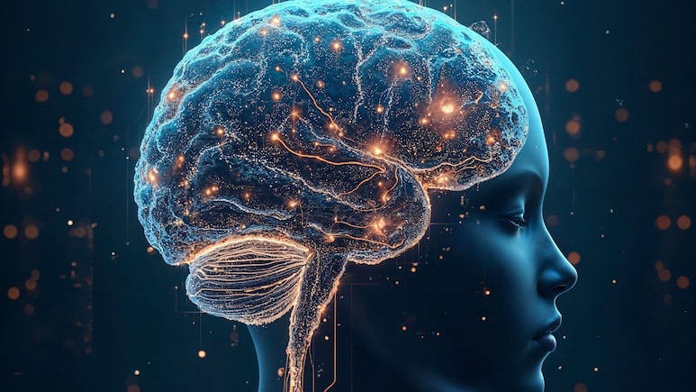 Want To Protect Your Brain? Avoids These Daily Habits Want To Protect Your Brain? Avoids These Daily Habits