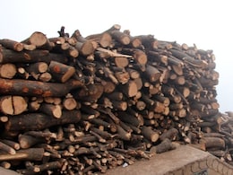 "Harsh Reality": Supreme Court Judge To NDTV On Illegal Tree Felling In Hills "Harsh Reality": Supreme Court Judge To NDTV On Illegal Tree Felling In Hills