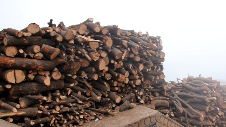 "Harsh Reality": Supreme Court Judge To NDTV On Illegal Tree Felling In Hills "Harsh Reality": Supreme Court Judge To NDTV On Illegal Tree Felling In Hills