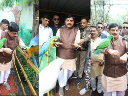 इंदौर के प्राणी संग्रहालय में दिखा CM मोहन यादव का पक्षी प्रेम, अपनी हथेलियों पर दाना रख पक्षियों को दाना चुगाया