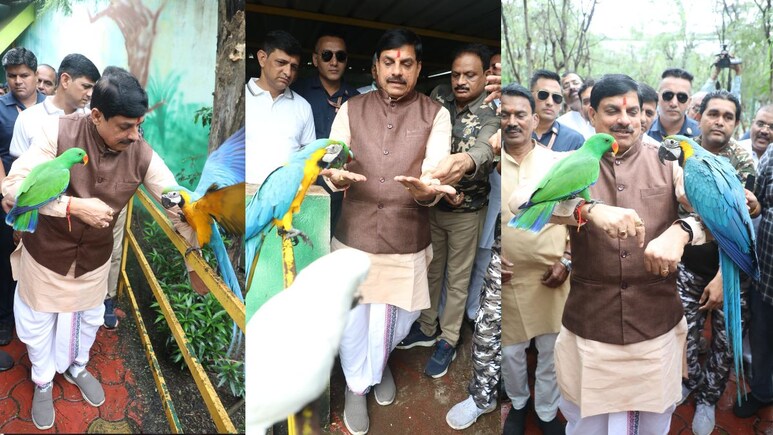 इंदौर के प्राणी संग्रहालय में दिखा CM मोहन यादव का पक्षी प्रेम, अपनी हथेलियों पर दाना रख पक्षियों को दाना चुगाया