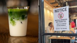 German Cafe Owner Declares War On Matcha, Goes Viral For His Bold Sign Against The Trend