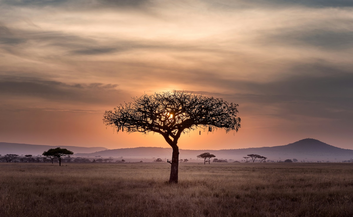 Tanzania. Tanzania.